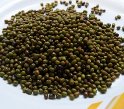 Green Gram